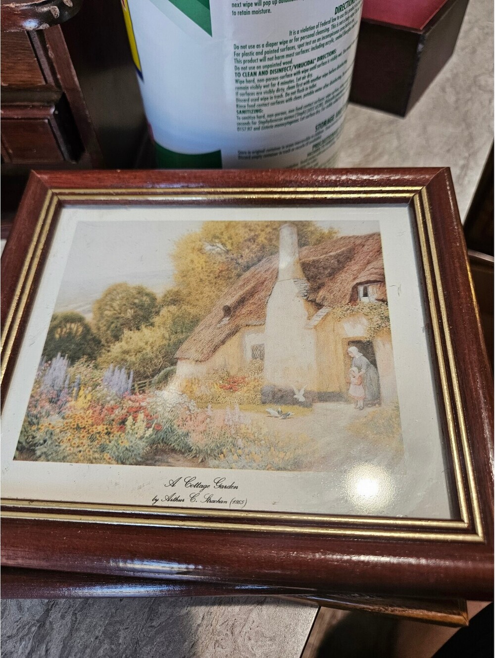 Vintage A Cottage Garden Picture Frame with Artwork by Adelaide E. Anderson 1903